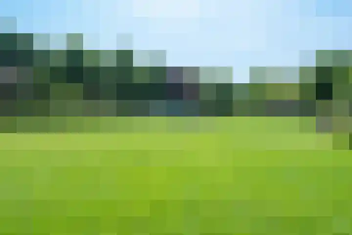 Nassauplein 35 Alkmaar thumbnail 42