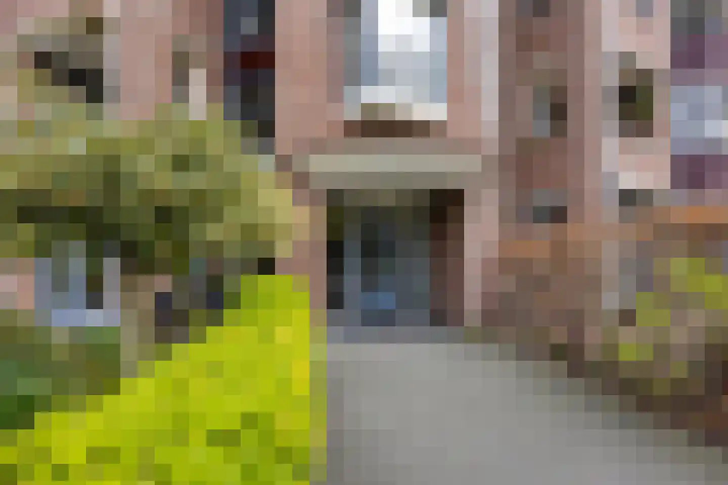 Nassauplein 37 Alkmaar thumbnail 6