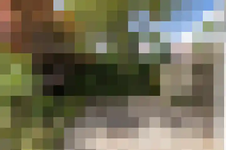 Nassauplein 37 Groningen thumbnail 23