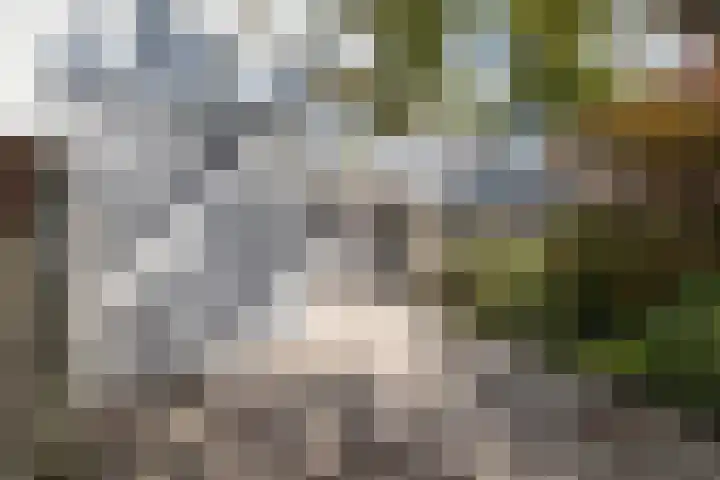 Nassauplein 37 Groningen thumbnail 24