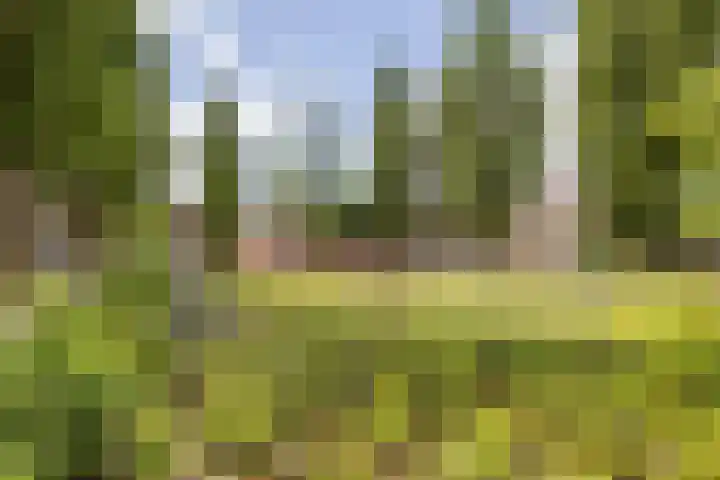 Nassauplein 37 Groningen thumbnail 38
