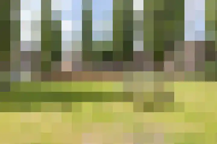 Nassauplein 37 Groningen thumbnail 39