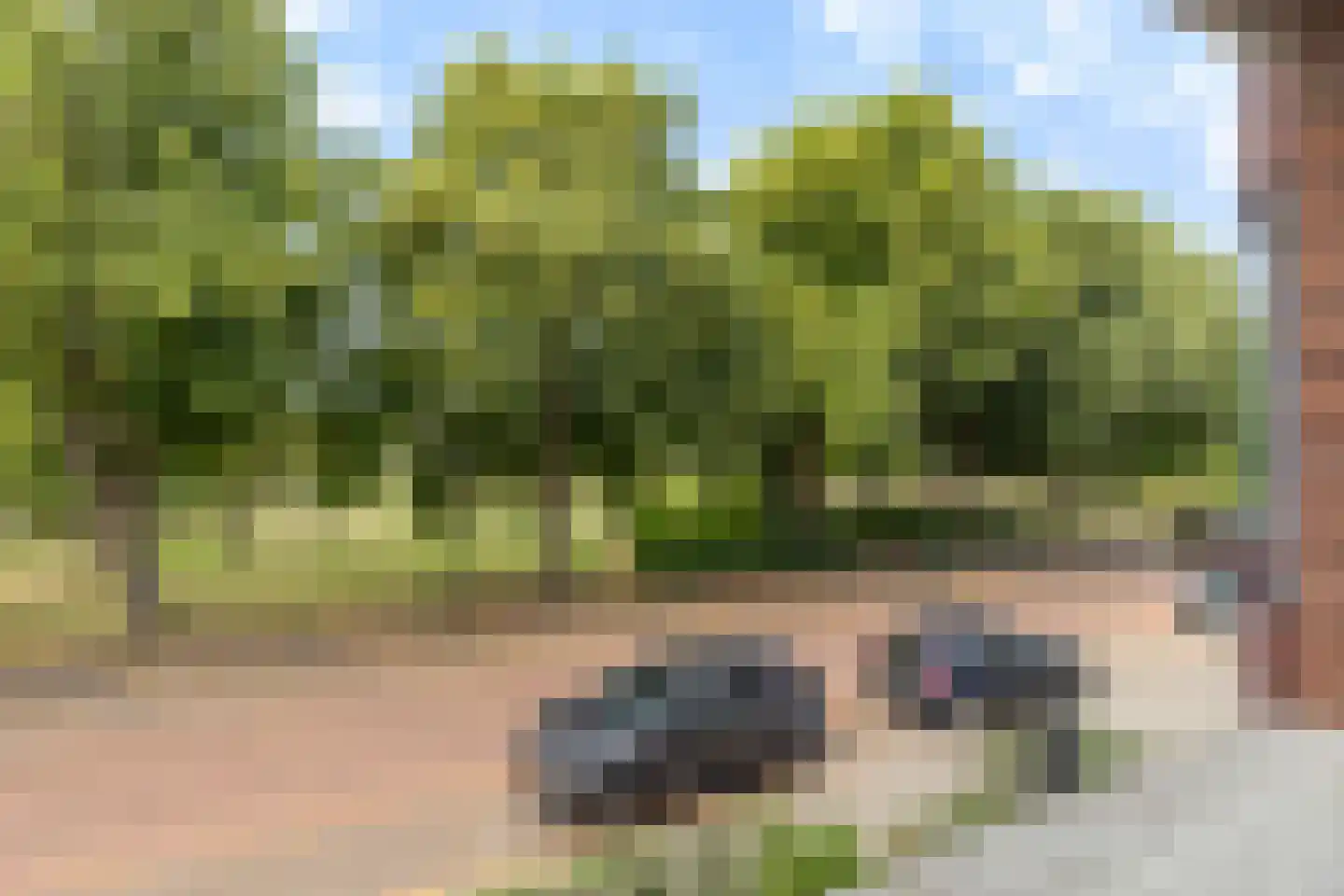 Nassauplein 42 Alkmaar thumbnail 12