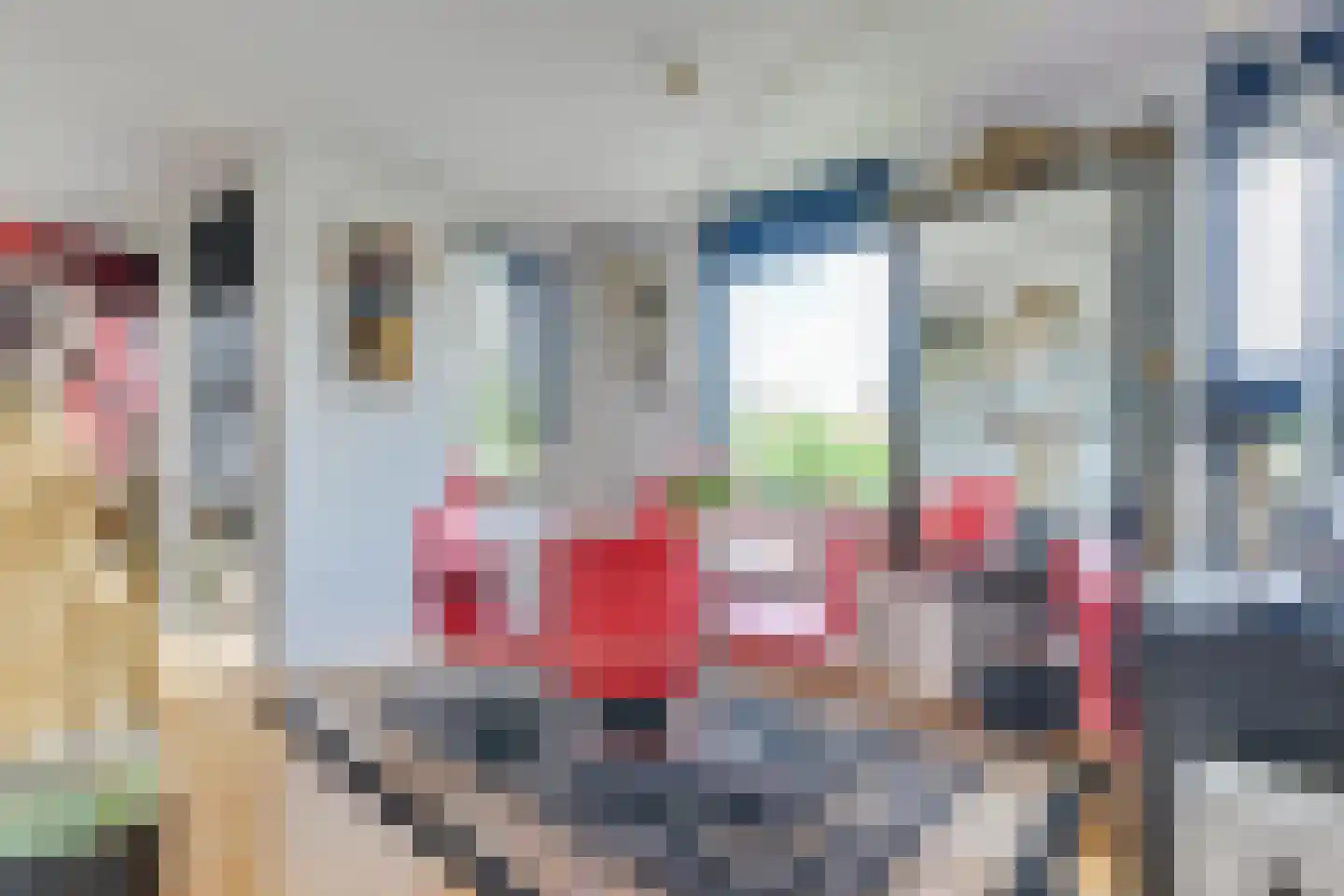 Nassauplein 48 Alkmaar thumbnail 13
