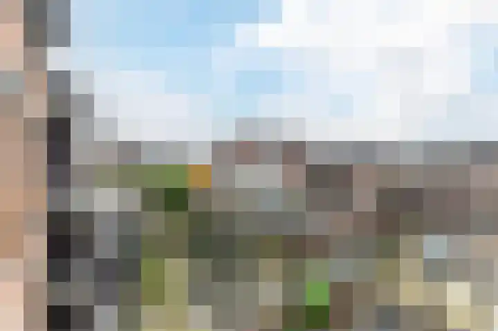 Nassauplein 48 Haarlem thumbnail 16
