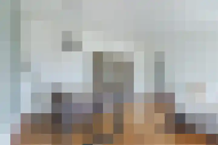 Nassauplein 48 Haarlem thumbnail 4