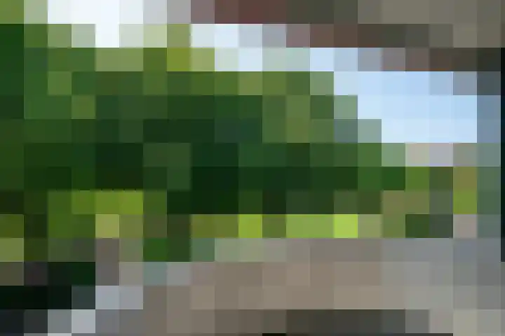 Nassauplein 52 Alkmaar thumbnail 29