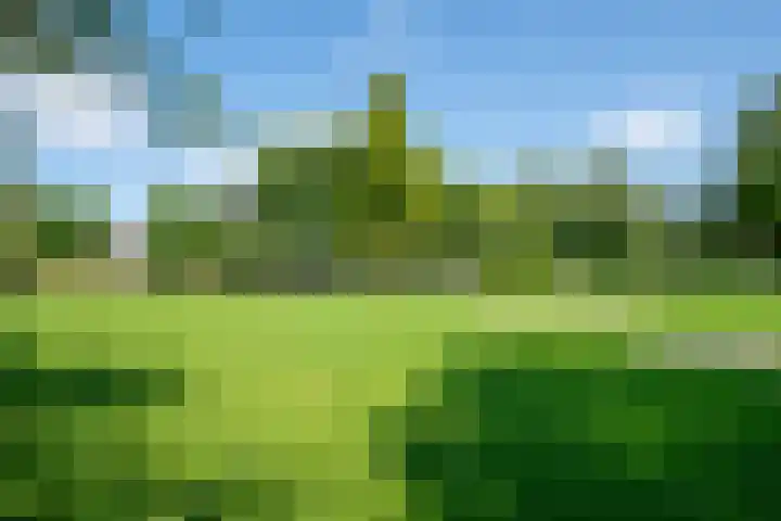Nassauplein 52 Alkmaar thumbnail 31