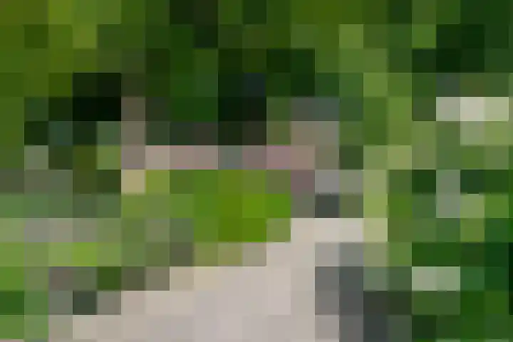 Nassauplein 52 Alkmaar thumbnail 32