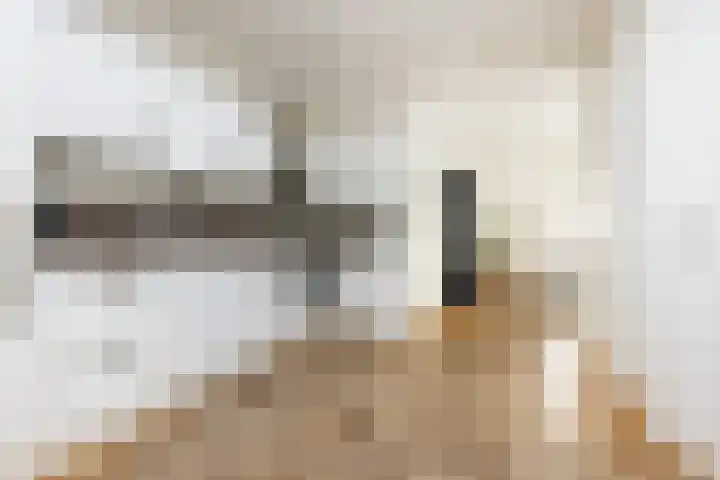 Nassauplein 54 Haarlem thumbnail 14
