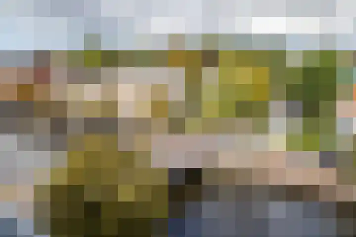 Nassauplein 54 Haarlem thumbnail 22