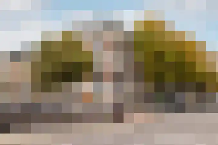 Nassauplein 54 Haarlem thumbnail 31