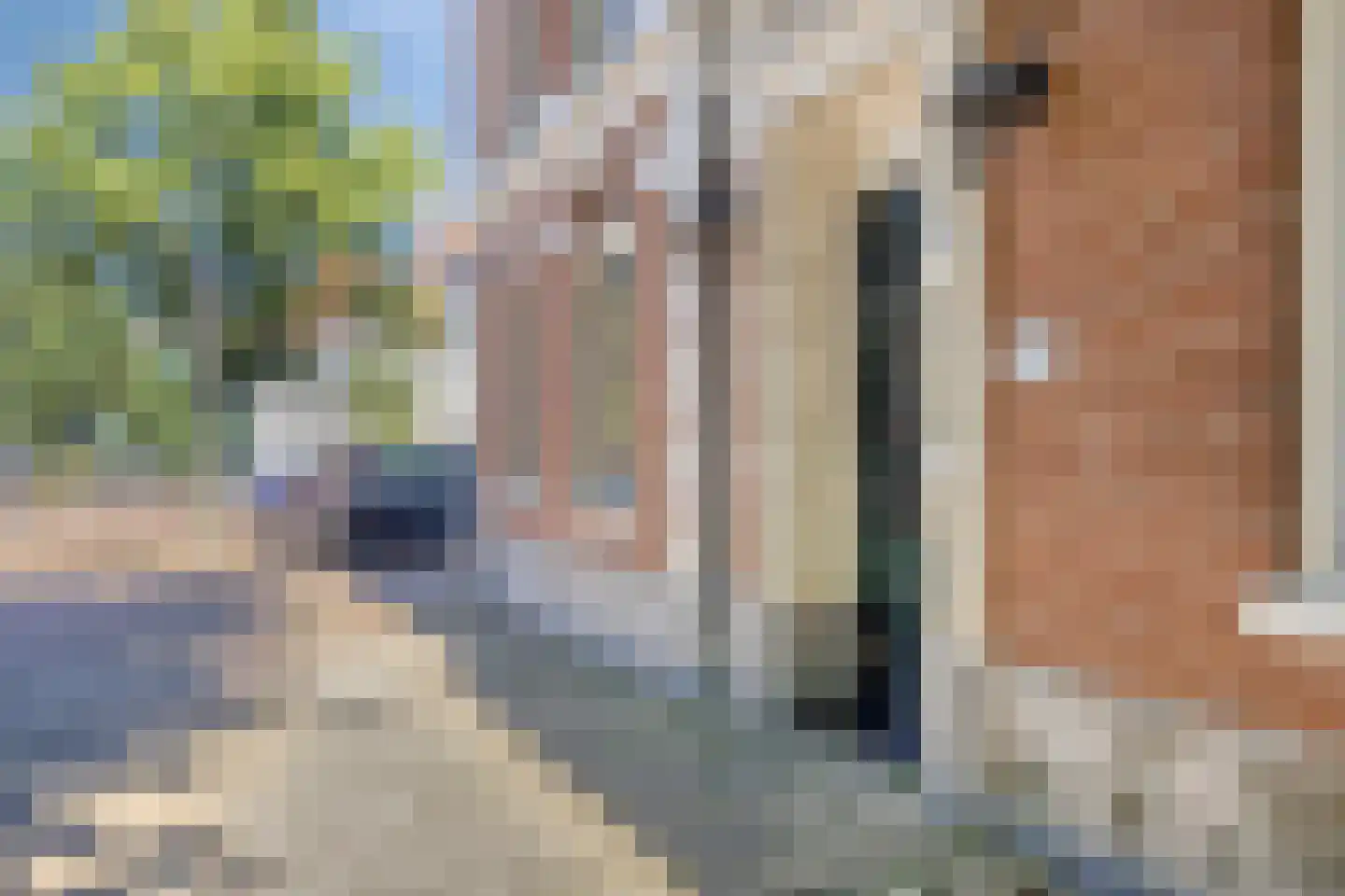 Nassauplein 58 Haarlem thumbnail 29