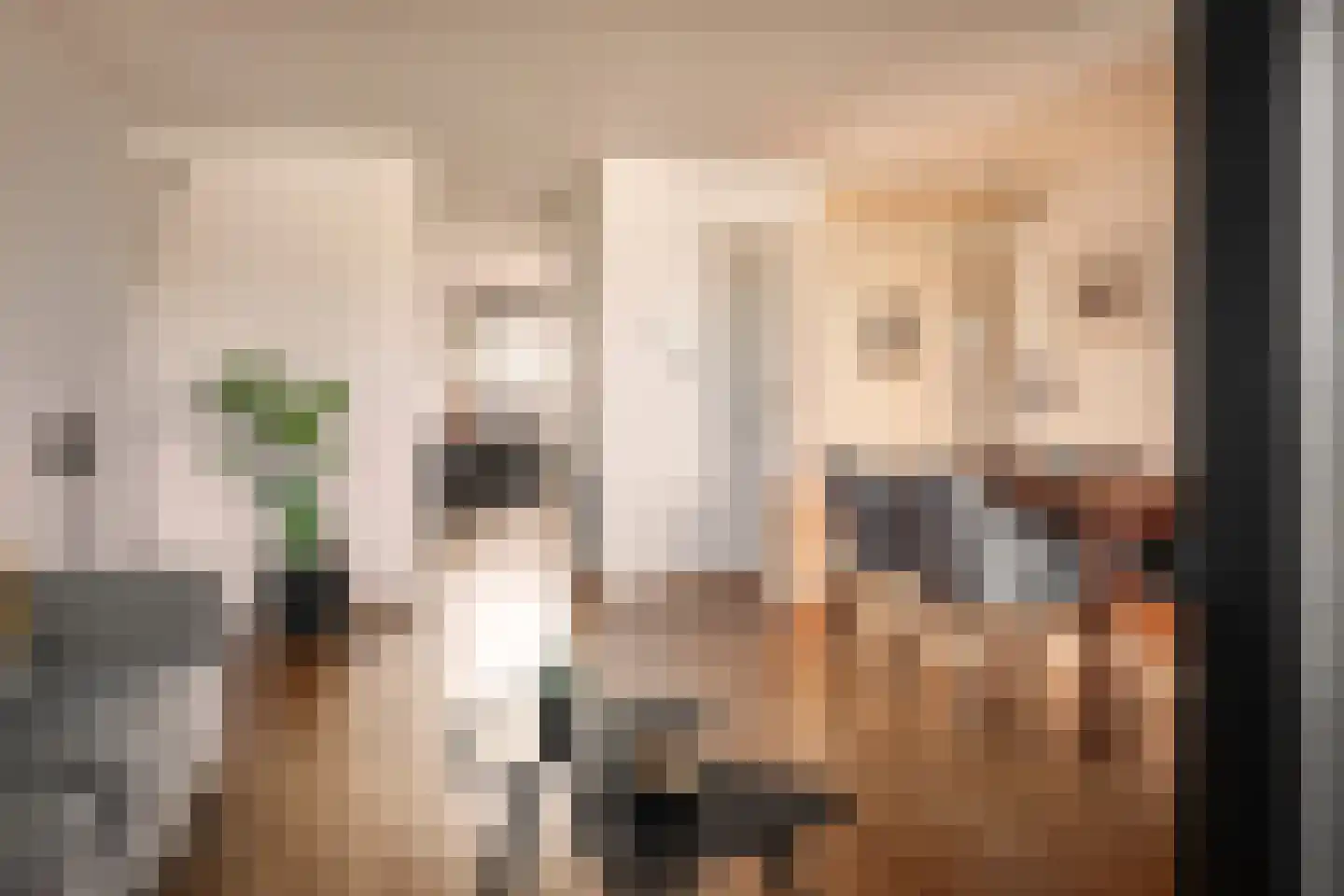 Nassauplein 61 Haarlem thumbnail 18