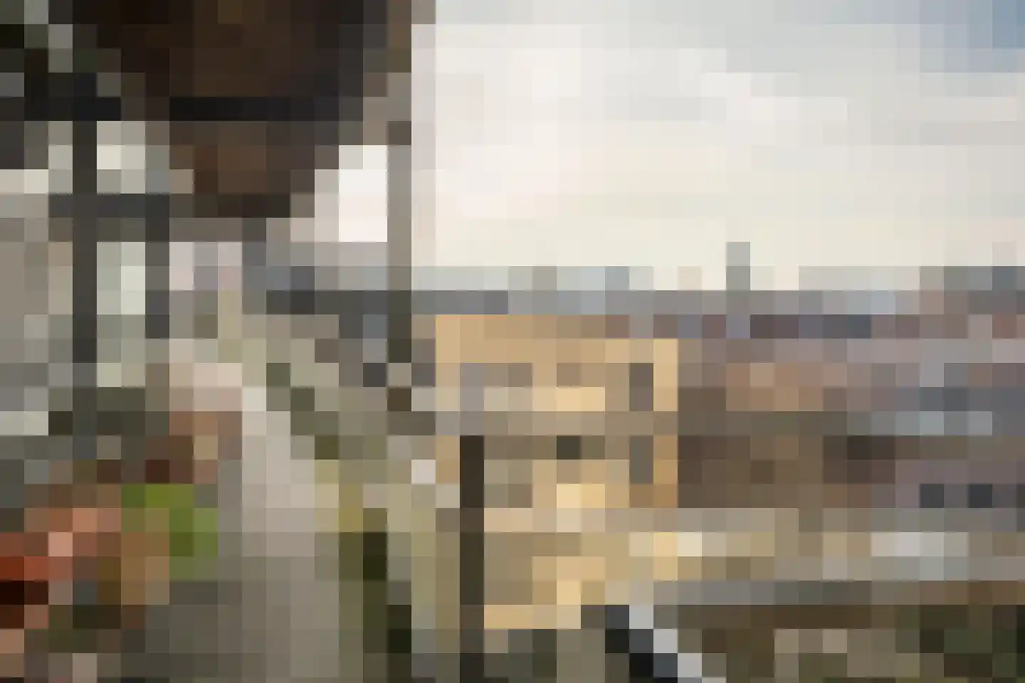 Nassauplein 61 Haarlem thumbnail 36