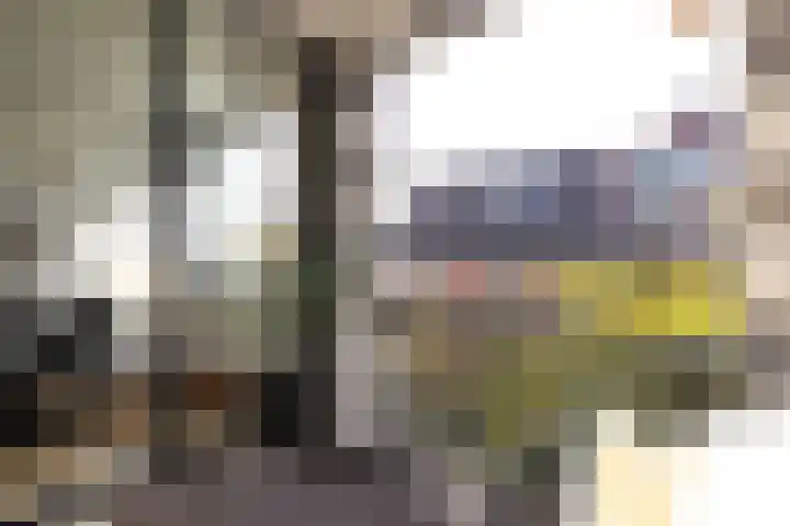 Nassauplein 79 Haarlem thumbnail 22