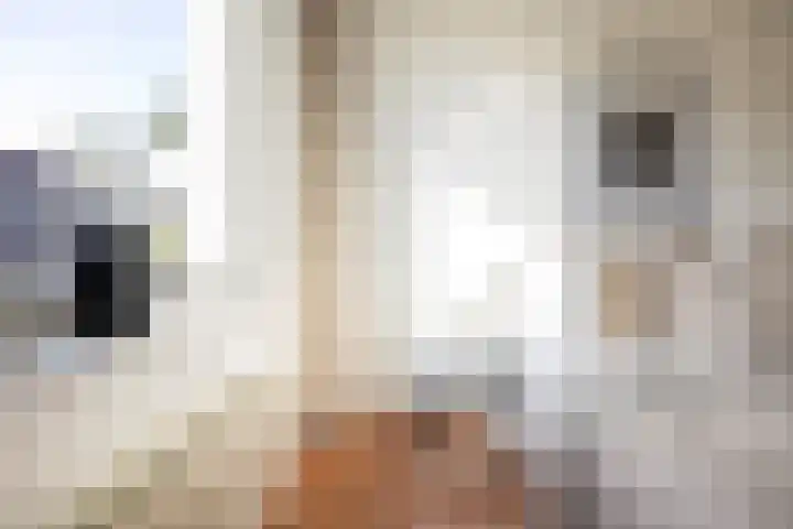 Nassauplein 79 Haarlem thumbnail 37