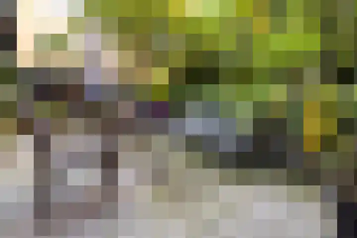 Nassauplein 79 Haarlem thumbnail 47