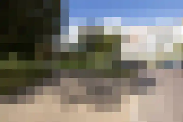 Nassauplein 79 Haarlem thumbnail 53