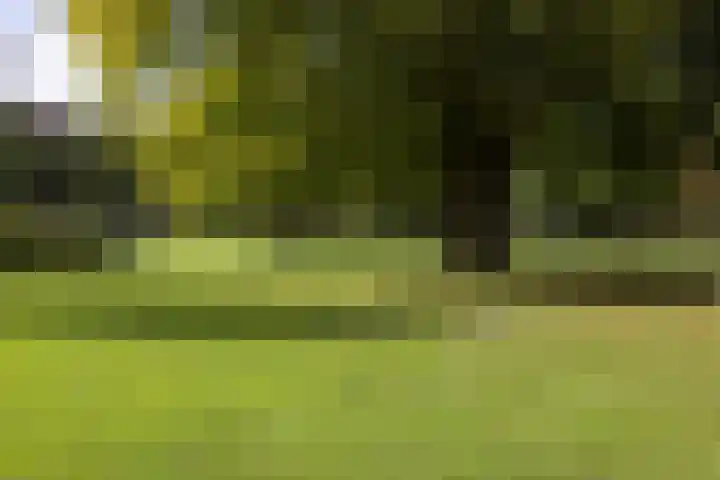 Nassauplein 79 Haarlem thumbnail 55