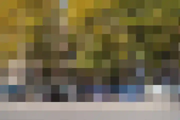 Nassauplein 79 Haarlem thumbnail 6