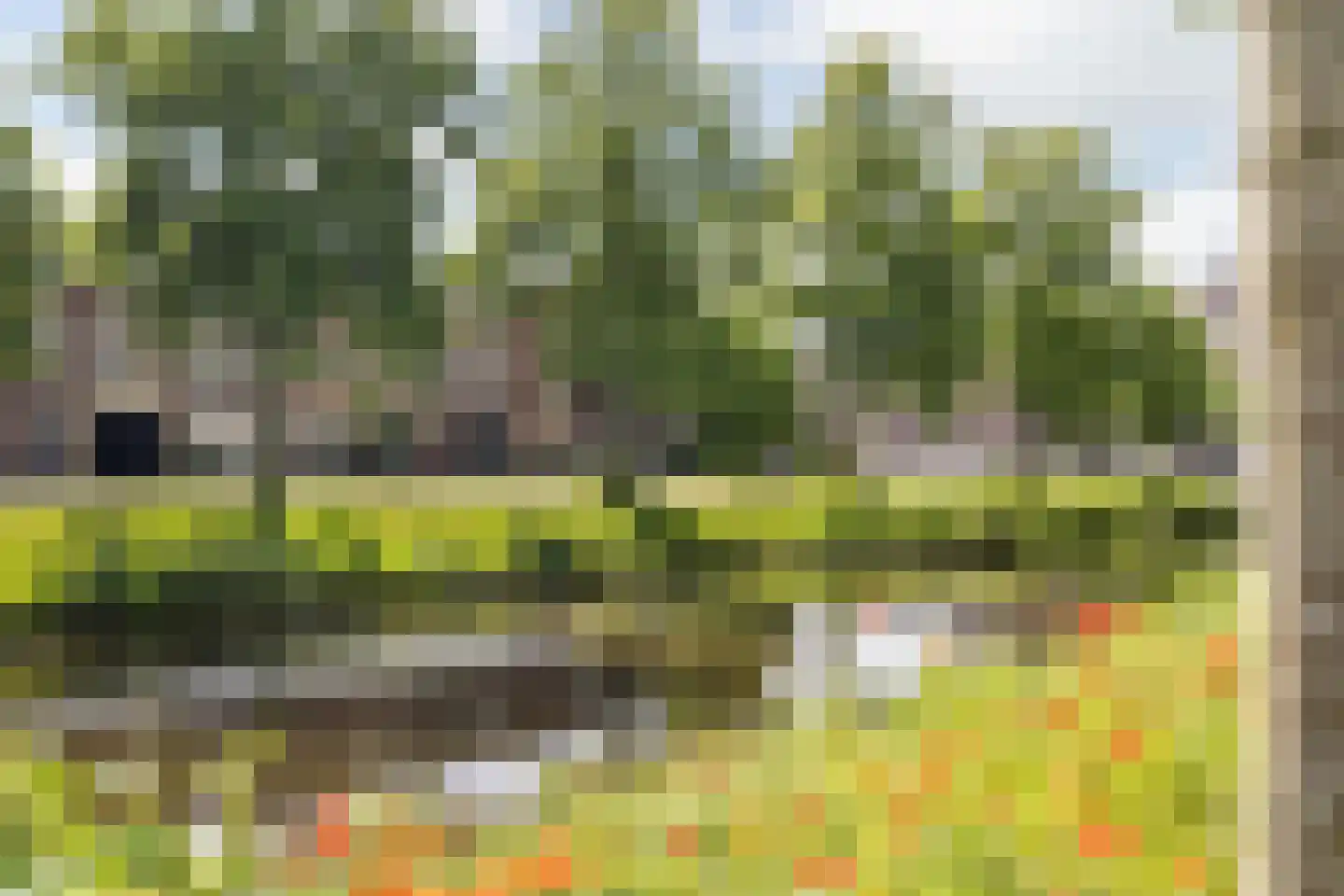 Nassausingel 19 A Breda thumbnail 56