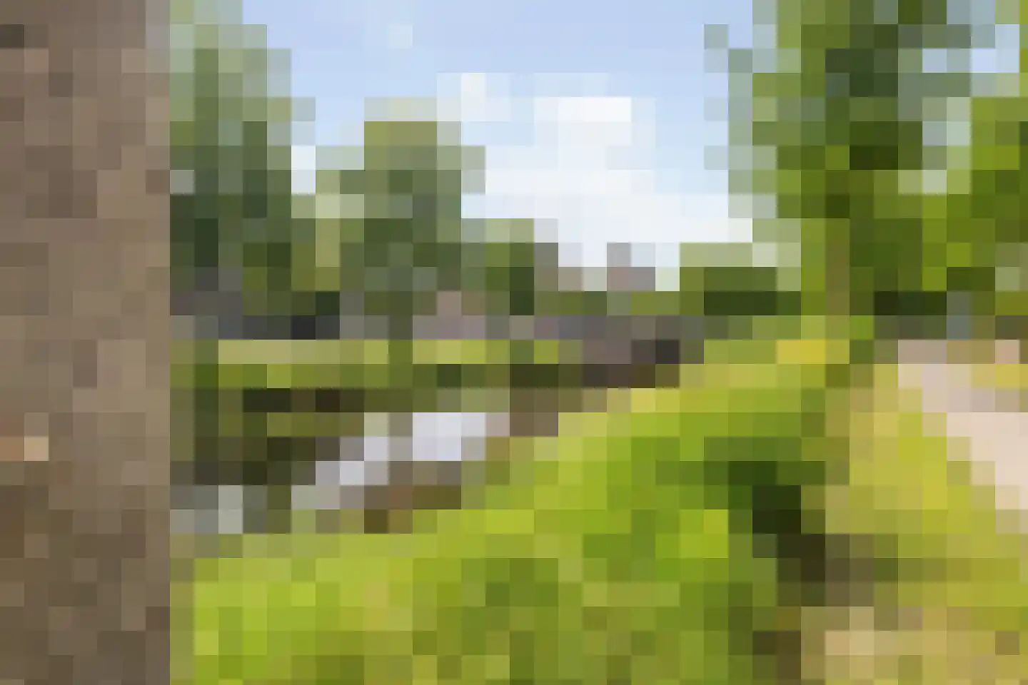 Nassausingel 19 A Breda thumbnail 57