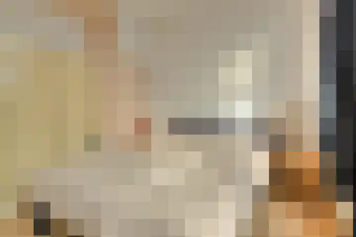 Nassausingel 23 Breda thumbnail 30