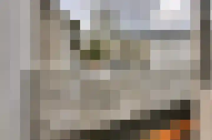 Nassausingel 23 Breda thumbnail 37