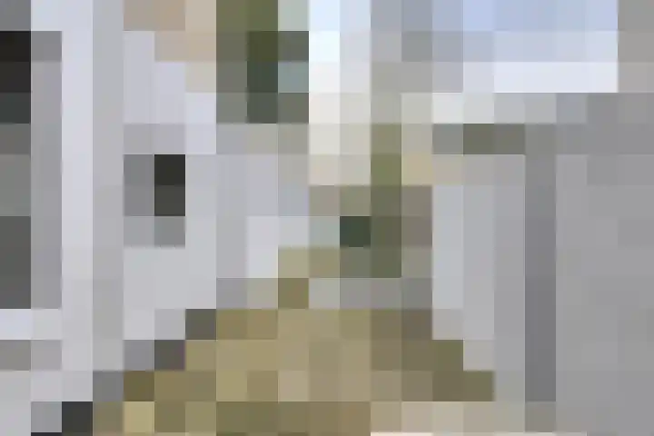 Nassausingel 23 Breda thumbnail 38