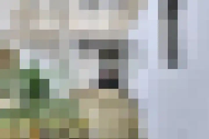 Nassausingel 23 Breda thumbnail 42
