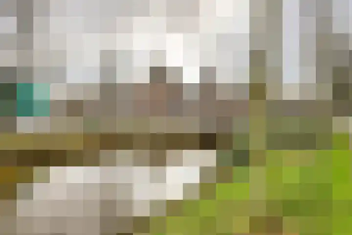 Nassausingel 23 Breda thumbnail 43