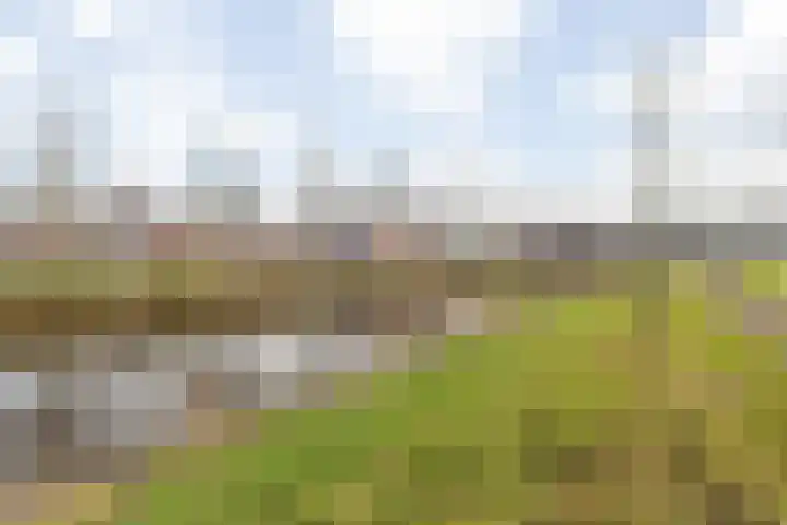 Nassausingel 3 Breda thumbnail 6