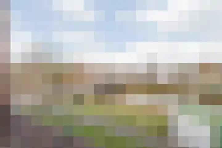 Nassausingel 3 Breda thumbnail 9