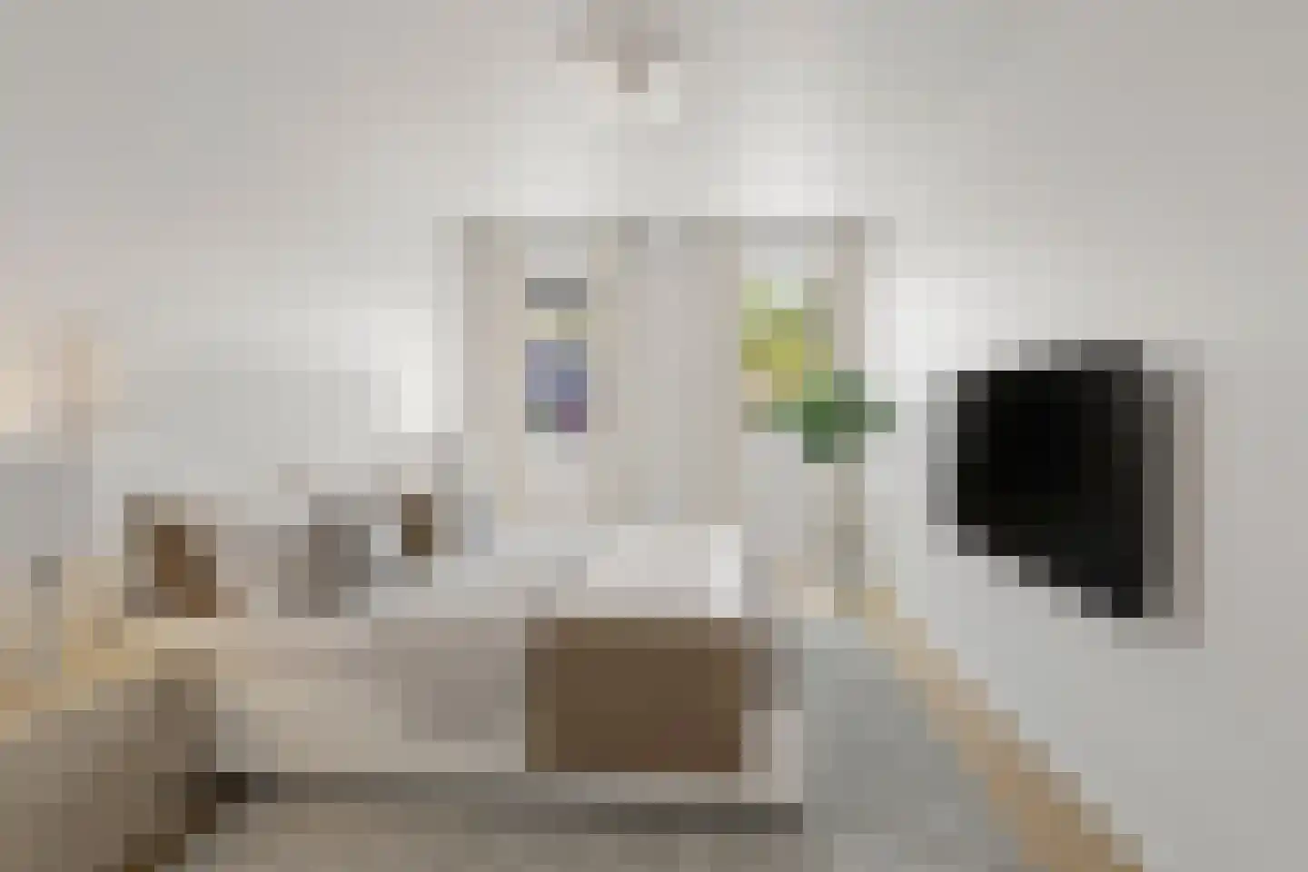 Nassaustate 1 Roermond thumbnail 12