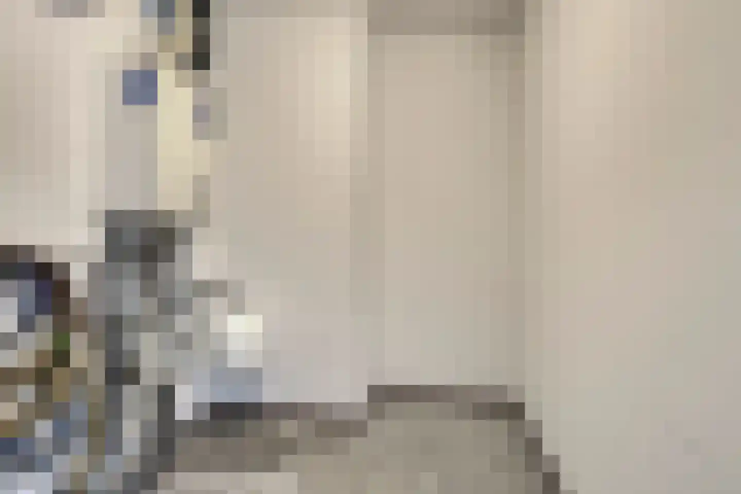 Nassaustate 1 Roermond thumbnail 18