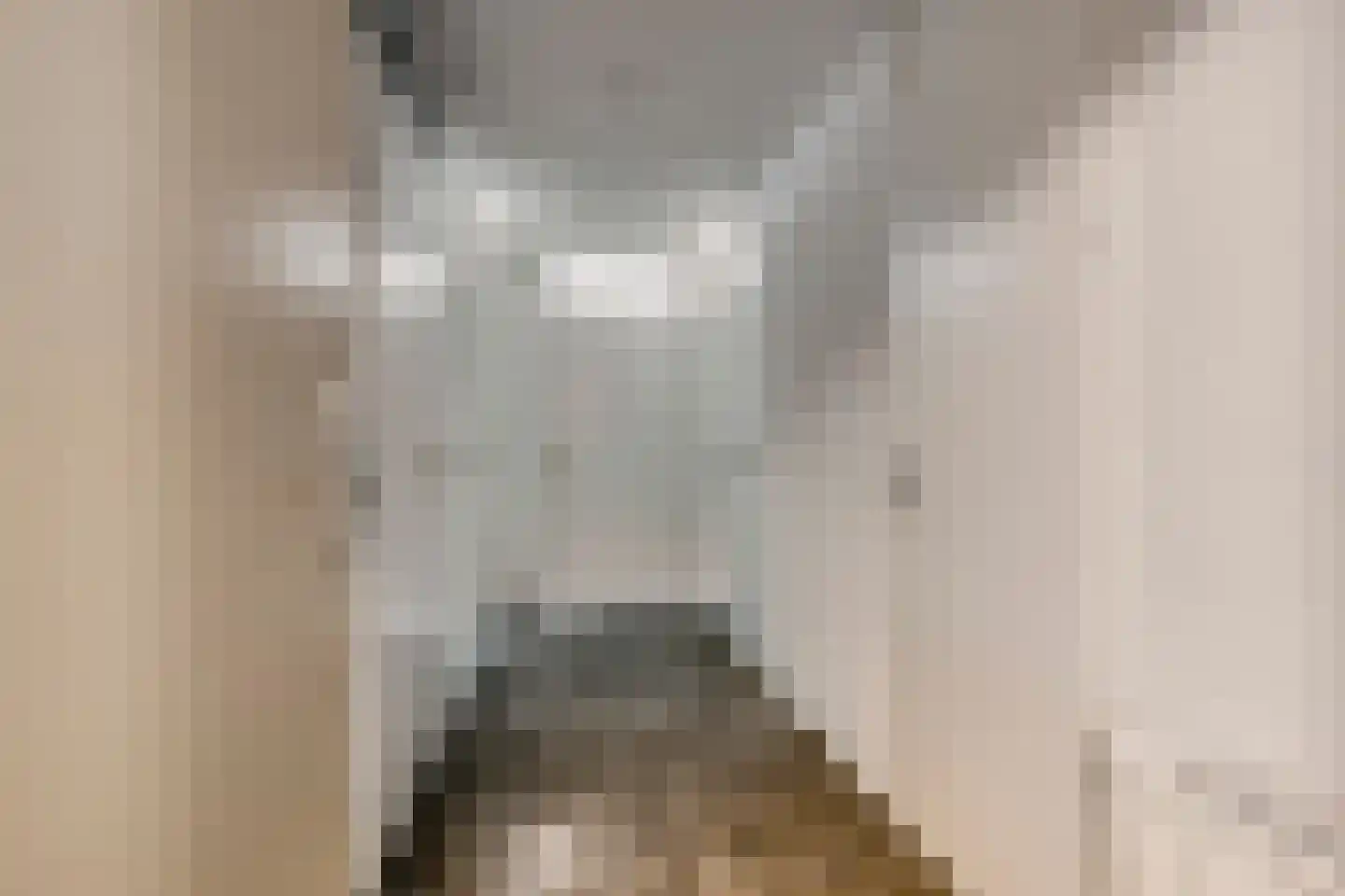 Nassaustate 1 Roermond thumbnail 19