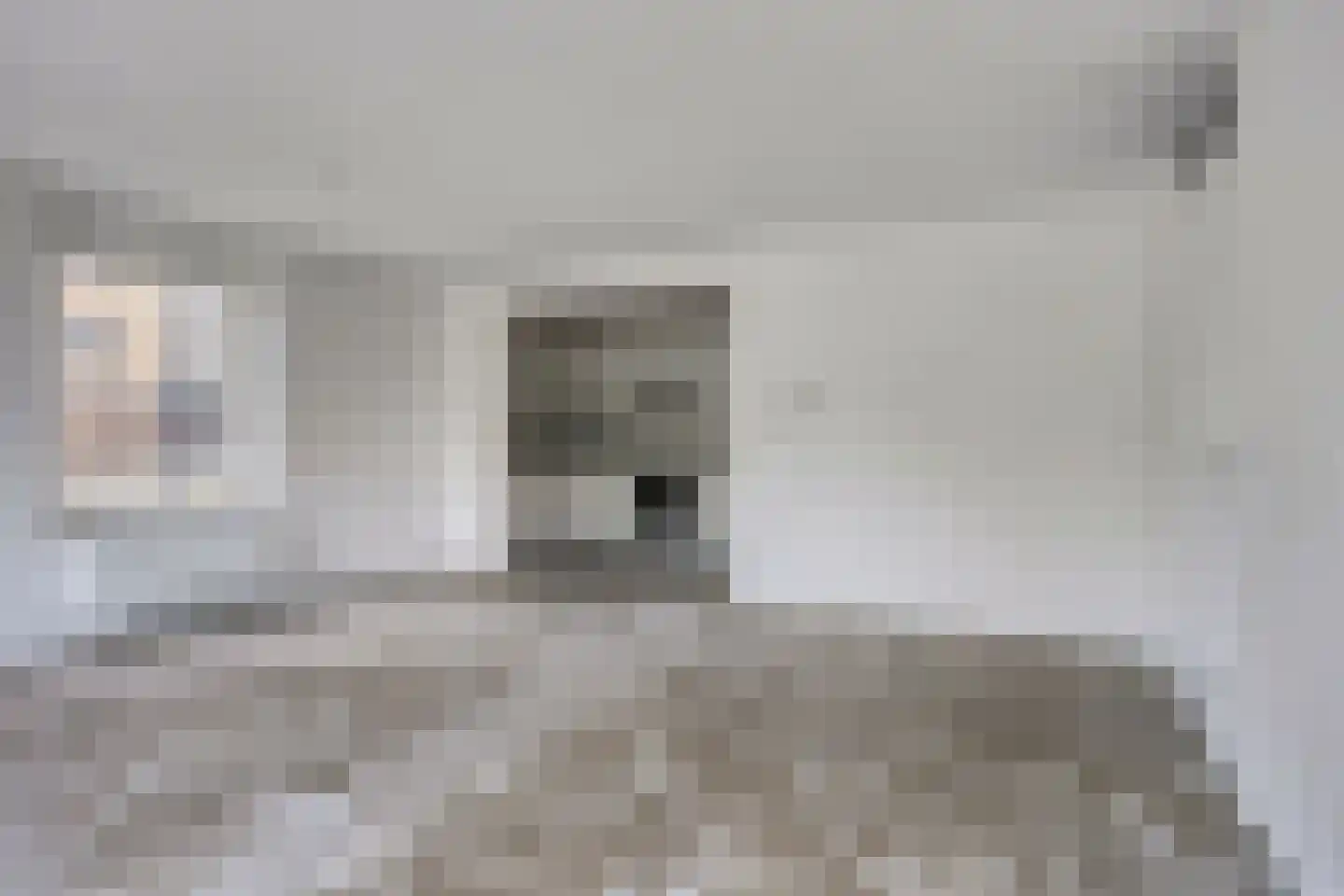 Nassaustate 1 Roermond thumbnail 7