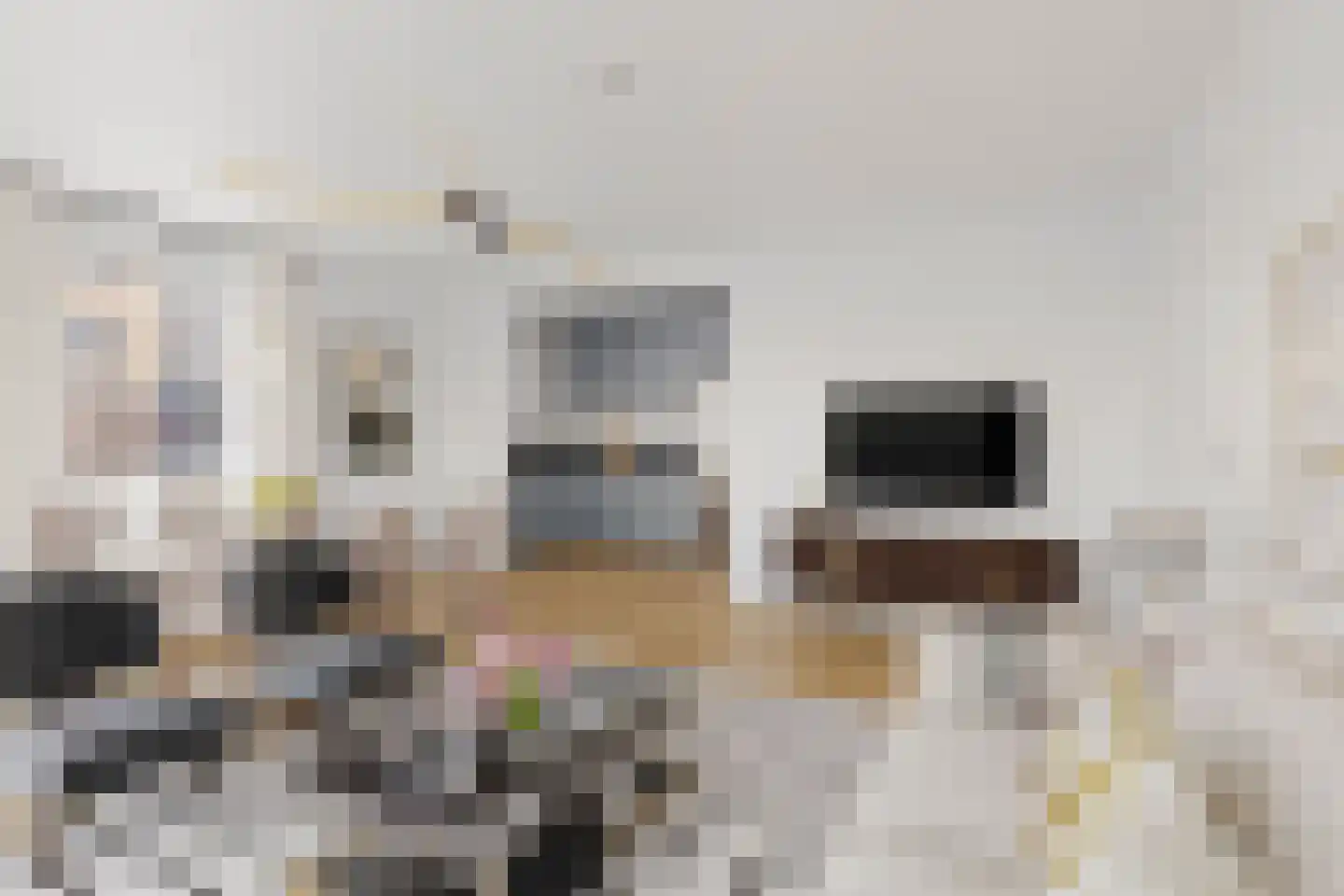 Nassaustate 1 Roermond thumbnail 8