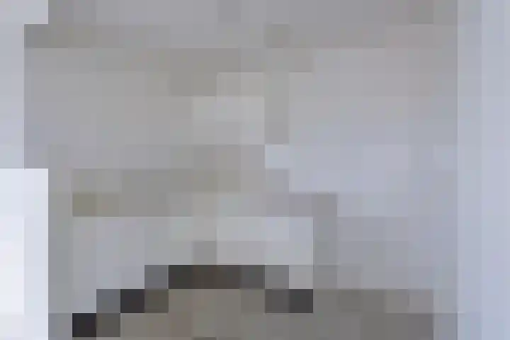 Nassaustate 11 Roermond thumbnail 9