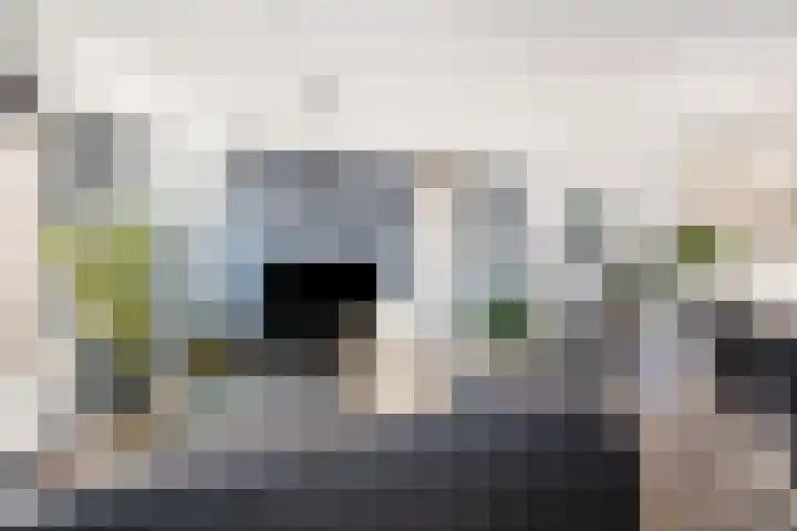 Nassaustate 2 Roermond thumbnail 15
