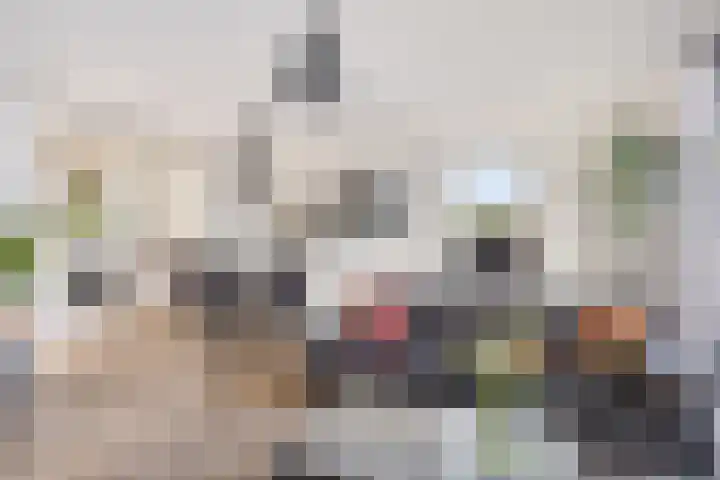 Nassaustate 2 Roermond thumbnail 16