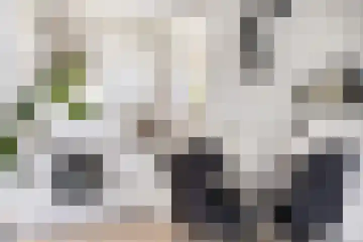 Nassaustate 2 Roermond thumbnail 17