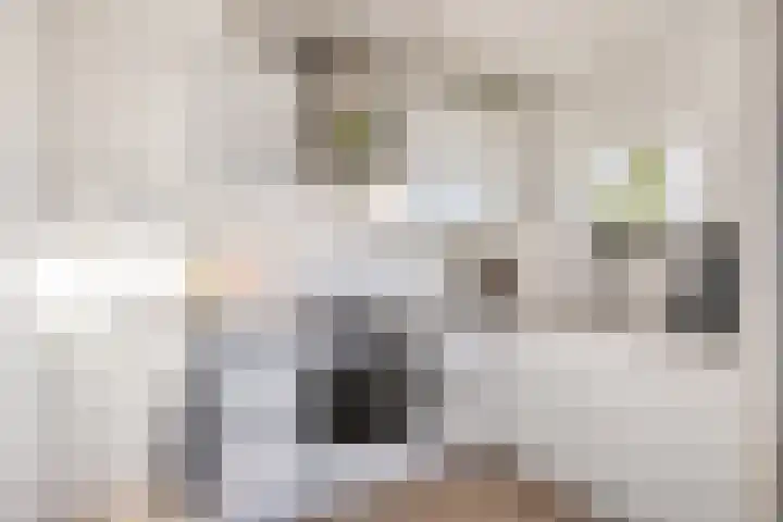 Nassaustate 2 Roermond thumbnail 18