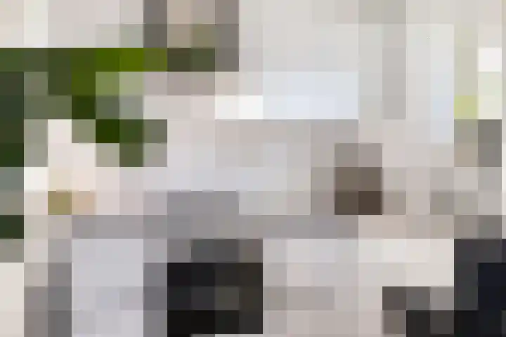 Nassaustate 2 Roermond thumbnail 19