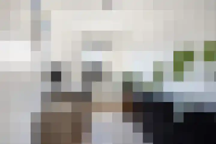 Nassaustate 2 Roermond thumbnail 23