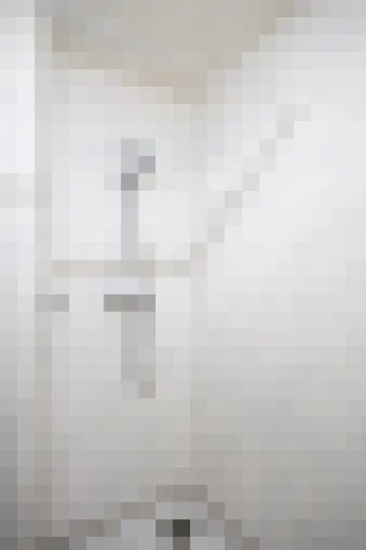 Nassaustate 2 Roermond thumbnail 26