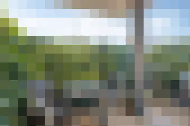Nassaustate 2 Roermond thumbnail 28