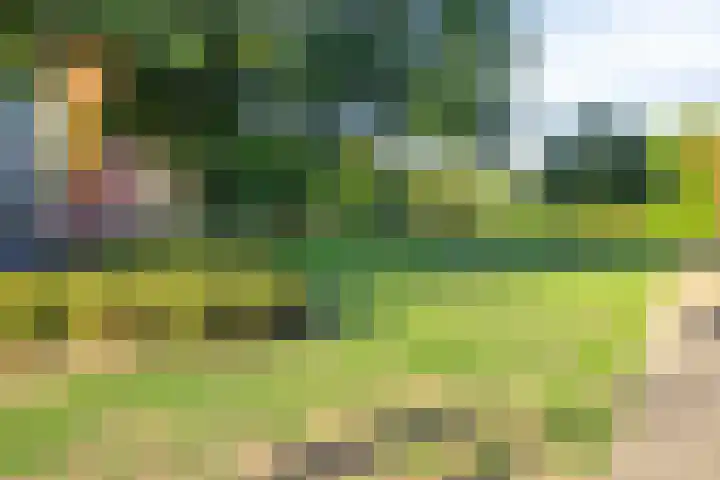 Nassaustate 24 Roermond thumbnail 26