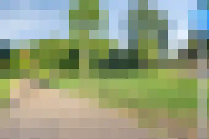 Nassaustate 24 Roermond thumbnail 27